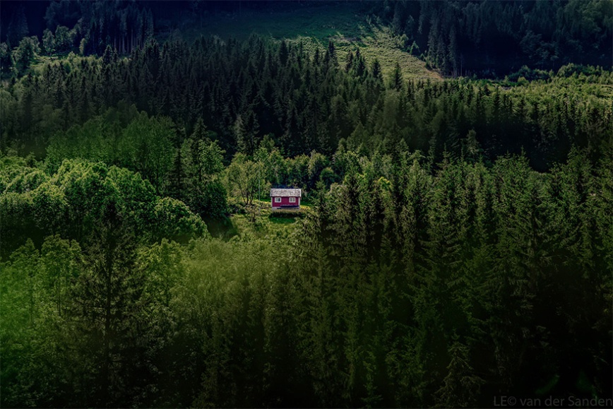 cozy-cabins-in-the-woods-37-575fcfa611d41__880