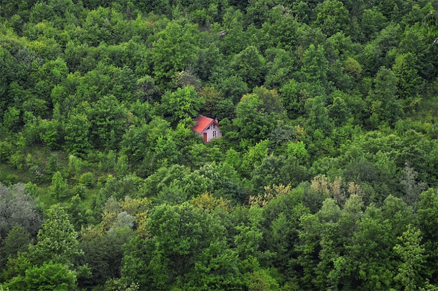 cozy-cabins-in-the-woods-42-575fd14baee42__880